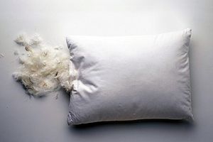 Пір'яна подушка - це кліщі, проблемна шкіра і швидке забруднення шкіри голови!